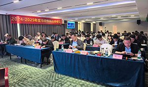 2025•技术能力提升培训