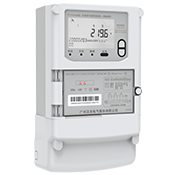 DTSD9866 □G</br>三相多功能电能表
